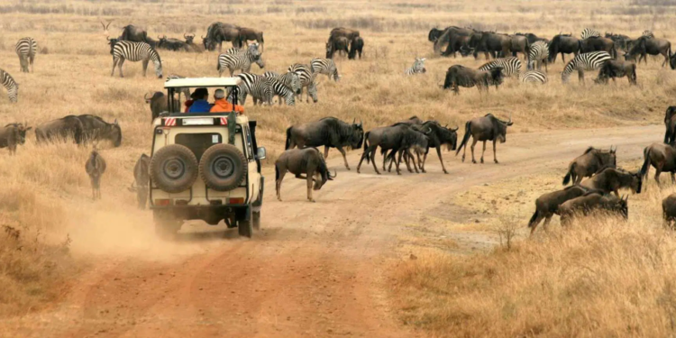Exploring Tanzania’s Vast Beauty: The Convenience of Self-Drive Excursions