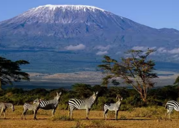 Kilimanjaro Cable Car Controversy: A Glimpse into Tanzania’s High-Stakes Tourism Move