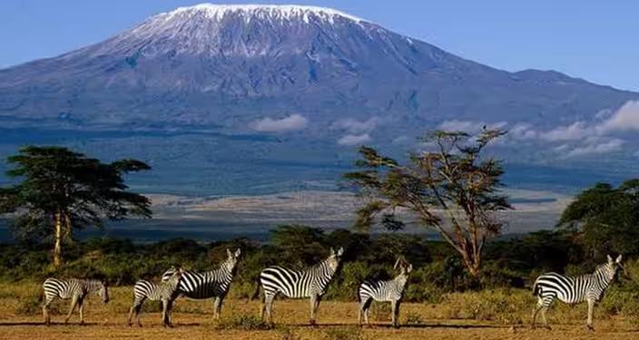 Kilimanjaro Cable Car Controversy: A Glimpse into Tanzania’s High-Stakes Tourism Move