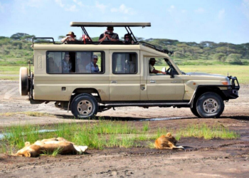 Unlocking Adventure: Self-Drive Safari Car Hire in Arusha, Tanzania