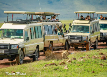 Planning the Ultimate Tanzania Safari Adventure: A Comprehensive Guide to Safari Vehicles