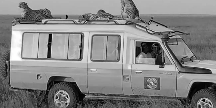 Unveiling the Importance of a Quality Safari Jeep: Your Gateway to an Unforgettable Tanzania Safari