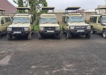 Road-Worthy Rides: A Short Guide to Car Maintenance in Tanzania