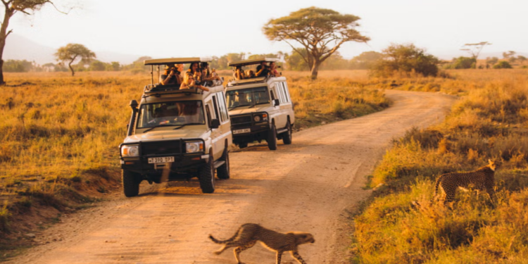 5 Essential Tips for a Memorable Adventure in Tanzania