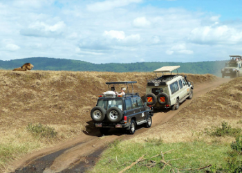 Essential Tips for Driving in Tanzania