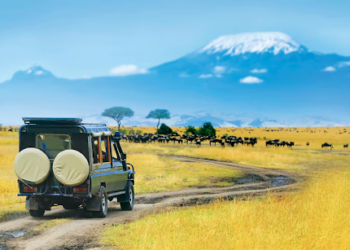 Experience the Wonders of Tanzania with These Must-Try Tours