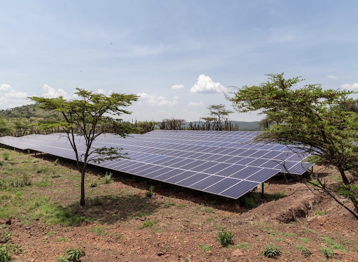 Tanzania Takes Strides in Renewable Energy: Harnessing Solar Power for Sustainable Development