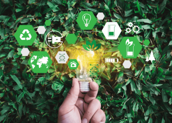 Reviewing a Research Paper: Toward Environmental Sustainability and Resource Management
