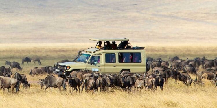 Discovering Tanzania: Top Road Trips for Adventure Seekers
