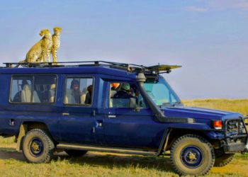 Best Tanzanian Safari Vehicles for Off-Road Adventures in 2025