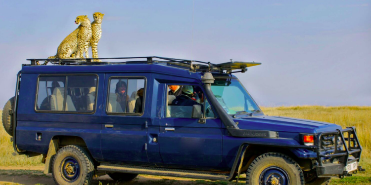 Best Tanzanian Safari Vehicles for Off-Road Adventures in 2025