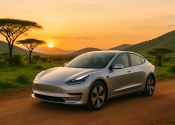 Import Electric Cars in Tanzania with EV24.africa