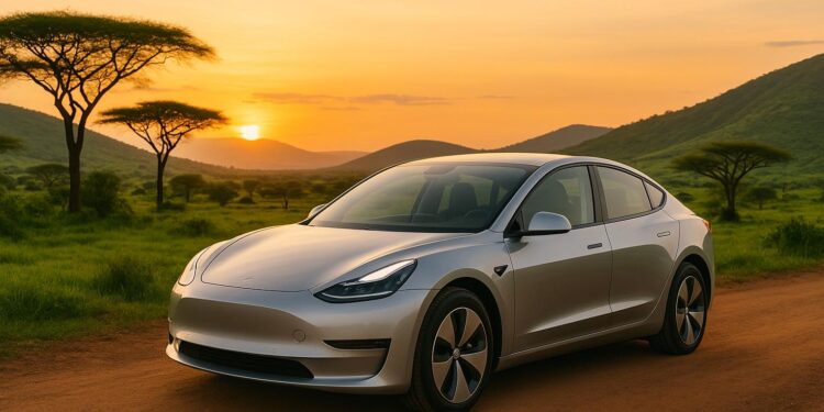 Import Electric Cars in Tanzania with EV24.africa