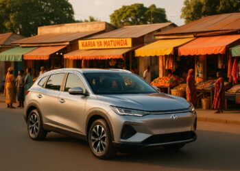 Chinese car brands study market entry in Tanzania