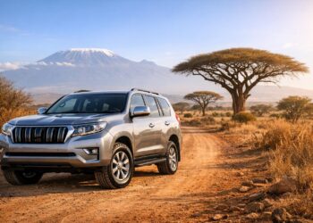 9 Tips to Keep Your Car in Top Shape in Tanzania